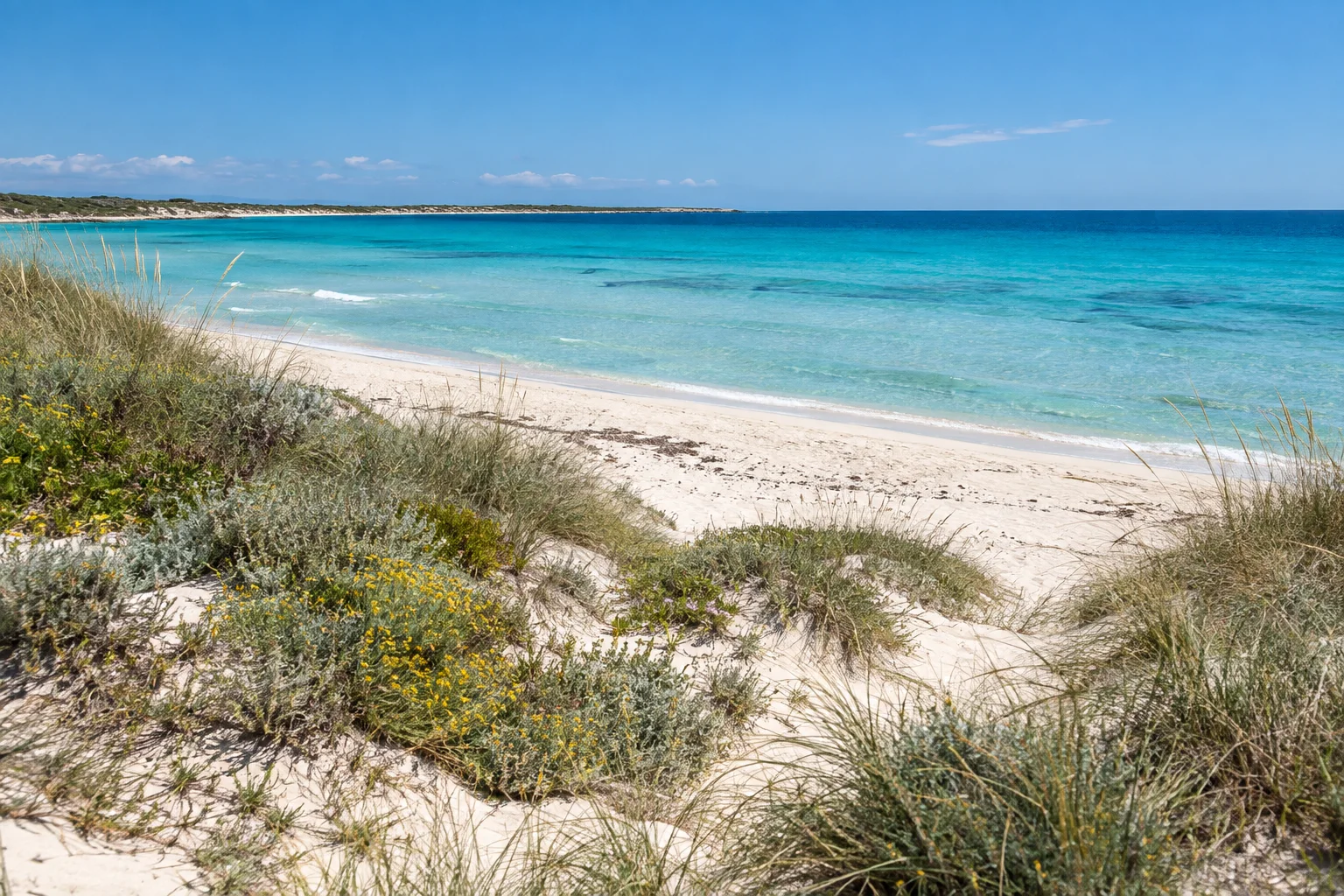Dunas protegidas y aguas cristalinas en la playa virgen de Es Trenc, Mallorca